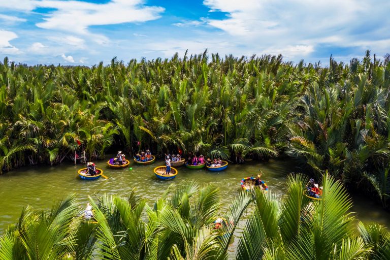 Hoi An seven-acre coconut forest Tour: 5 Things to know before going ...